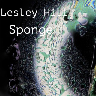 Sponge