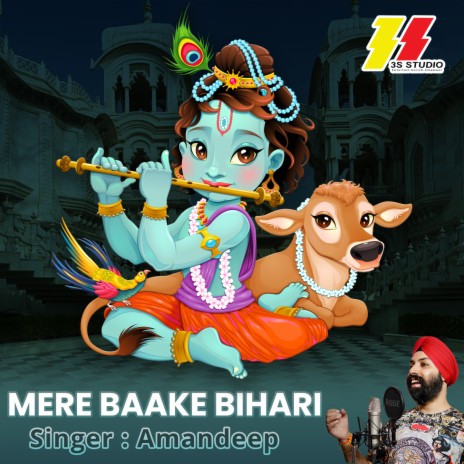 Mere Baake Bihari | Boomplay Music