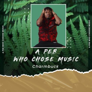 A PEB WHO CHOSE MUSIC