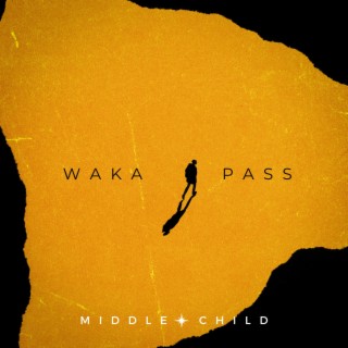 Waka Pass (Radio Edit) lyrics | Boomplay Music