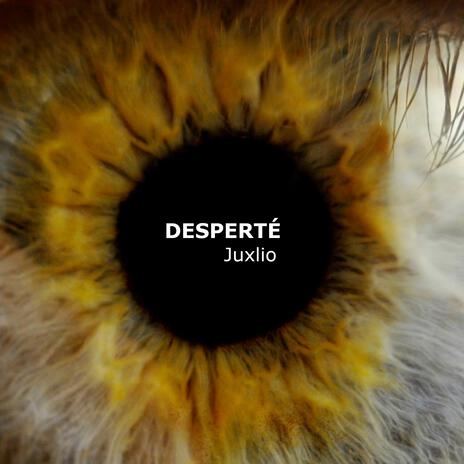 Desperté