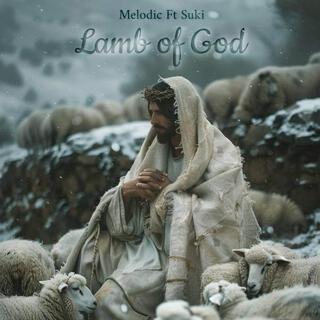 Lamb of God