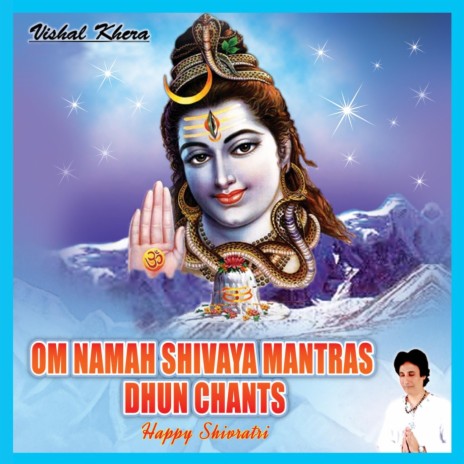 Shiv Mantra Dhun Chants | Boomplay Music