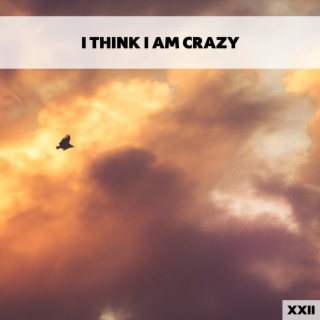 I Think I Am Crazy XXII