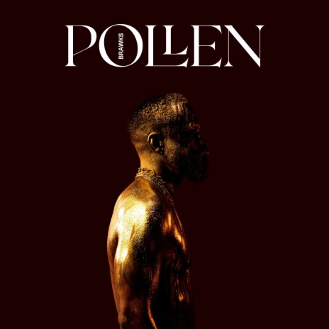 Pollen | Boomplay Music