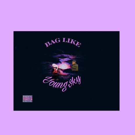 Bag like | Boomplay Music