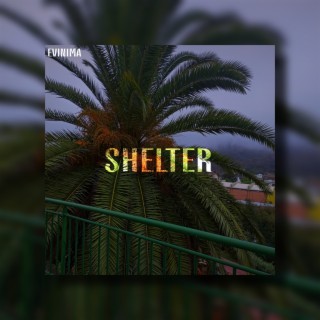 Shelter