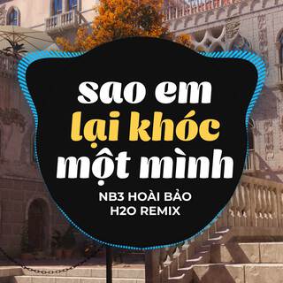 Sao Em Lại Khóc Một Mình (Remix)