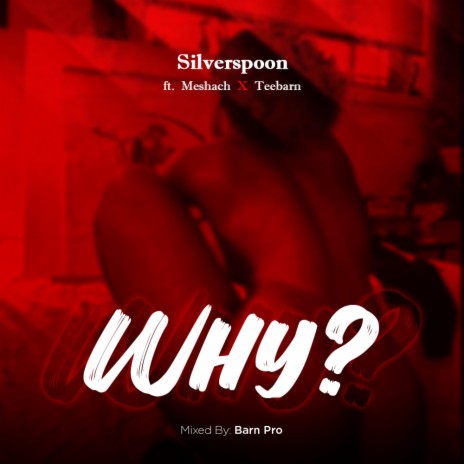 WHY ft. MESHACH & TEEBARN | Boomplay Music