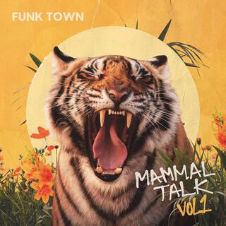 Funk Town lyrics | Boomplay Music