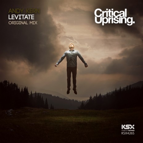 Levitate (Original Mix) | Boomplay Music