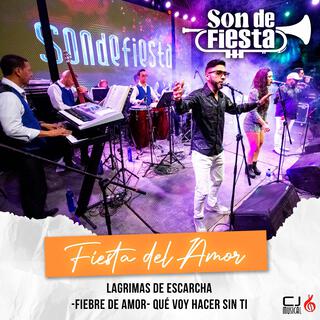 FIESTA DEL AMOR: (Lagrimas De Escarcha- Fiebre De Amor- Que Voy Hacer Sin Ti) (En vivo)