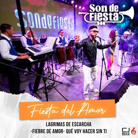 FIESTA DEL AMOR: (Lagrimas De Escarcha- Fiebre De Amor- Que Voy Hacer Sin Ti) (En vivo) | Boomplay Music