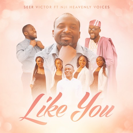 Like You ft. NJI heavenly voices | Boomplay Music