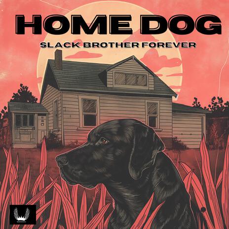 Home Dog | Boomplay Music