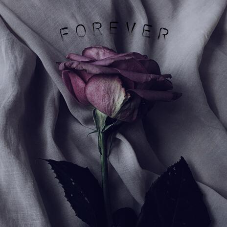 FOREVER | Boomplay Music