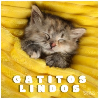 Gatitos Lindos, Vol.2: Canciones Increíbles para Relajar Gatos Domésticos