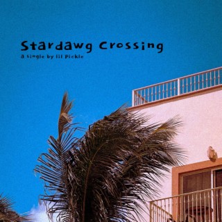 Stardawg Crossing (Single Version)