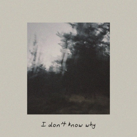 I don't know why ft. Nineteen95 | Boomplay Music