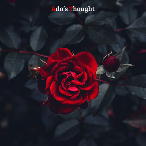 Ada's Thought | Boomplay Music