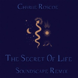 The Secret Of Life (Soundscape Remix)