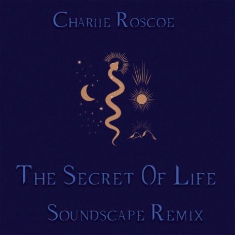 The Secret Of Life (Soundscape Remix) | Boomplay Music