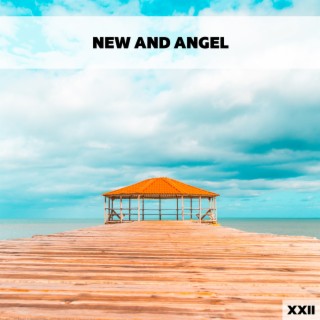 New And Angel XXII