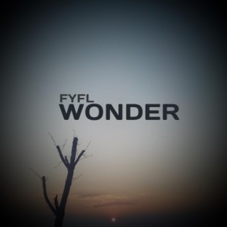 Wonder