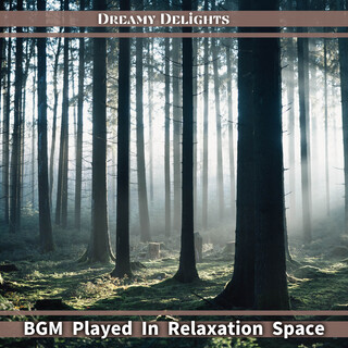 BGM Played In Relaxation Space