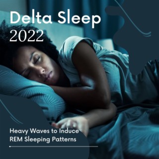 Delta Sleep 2022: Heavy Waves to Induce REM Sleeping Patterns