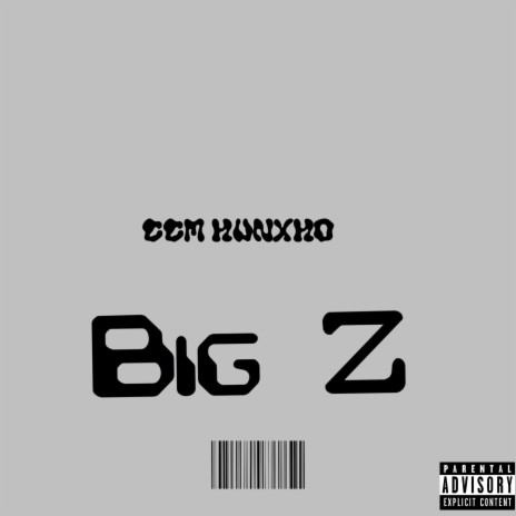 BiG Z | Boomplay Music