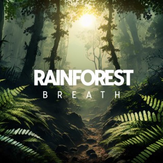 Rainforest Breath: Spiritual Meditation on Piano with Rainforest Ambience for Deep Restorative Sleep, Healing, Study, and Imagination