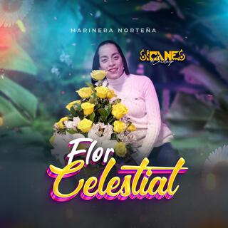 Flor celestial