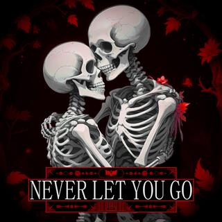 NEVER LET YOU GO