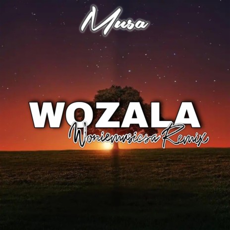 Wozala (Amapiano Revist)