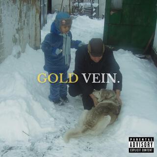 GOLD VEIN