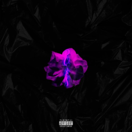 Roses | Boomplay Music