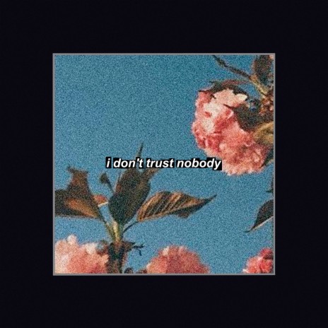 I Don't Trust Nobody | Boomplay Music