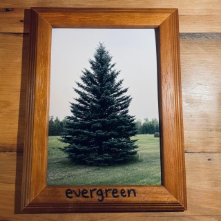 Evergreen lyrics | Boomplay Music