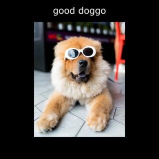 good doggo