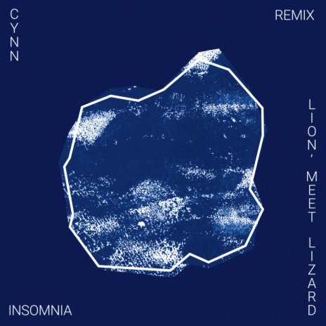 Insomnia (Lion, Meet Lizard Remix) ft. Lion Meet Lizard | Boomplay Music