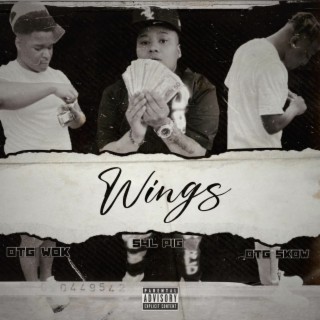 Wings