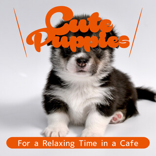 For a Relaxing Time in a Cafe