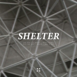 Shelter