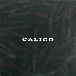 Dancehall Instrumental 2022 | Calico