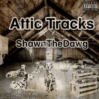 Attic Tracks