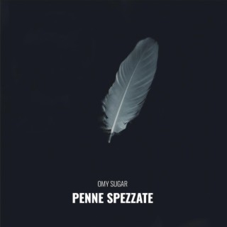 Penne spezzate