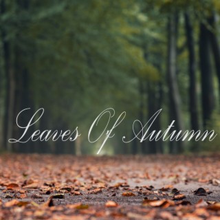 Leaves Of Autumn lyrics | Boomplay Music