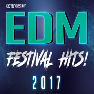 EDM Festival Hits 2017