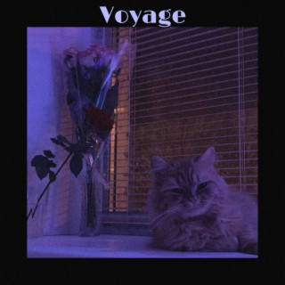 voyage